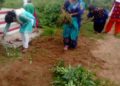 ପବ୍ଲିକ ରାଇଟ୍ସ ଆସୋସିଏସନ ପକ୍ଷରୁ ସ୍ଵଛତା କାର୍ଯ୍ୟକ୍ରମ
