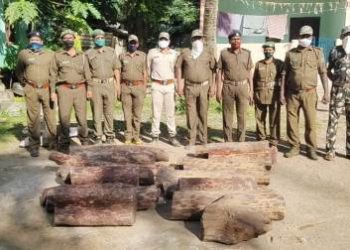 ଗଜପତି ଜିଲ୍ଲା ବନ ବିଭାଗ ଓ କାଠ ମାଫିଆ ଙ୍କ ମଧ୍ୟରେ ମଧୁ ଚନ୍ଦ୍ରିକା ; ଆନ୍ଧ୍ର ଓଡ଼ିଶା ସୀମାନ୍ତ୍ ରୁ ଲକ୍ଷାଧିକ ଟଙ୍କାର ରକ୍ତ ଚନ୍ଦନ କାଠ ଜବତ – ମାଫିଆ ଫେରାର