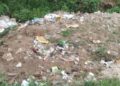 ଲୋକଙ୍କୁ କଲବଲ କରୁଛି ମଶା – କୋଦଳା