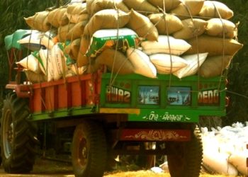 କୋରାଇରେ ୨୦ରୁ ଖୋଲିବ ଧାନ ମଣ୍ଡି .. 