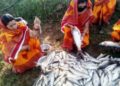 ମିଶନ ଶକ୍ତି ଏସ୍‌ଏଚ୍‌ଜିମାନଙ୍କ ଦ୍ୱାରା ଲକ୍‌ଡାଉନ୍‌ ସମୟରେ ୨୧,୦୦୦ କ୍ୱିଣ୍ଟାଲ୍‌ ମାଛ ଉତ୍ପାଦନ – ଭୁବନେଶ୍ୱର
