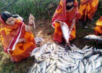 ମିଶନ ଶକ୍ତି ଏସ୍‌ଏଚ୍‌ଜିମାନଙ୍କ ଦ୍ୱାରା ଲକ୍‌ଡାଉନ୍‌ ସମୟରେ ୨୧,୦୦୦ କ୍ୱିଣ୍ଟାଲ୍‌ ମାଛ ଉତ୍ପାଦନ – ଭୁବନେଶ୍ୱର