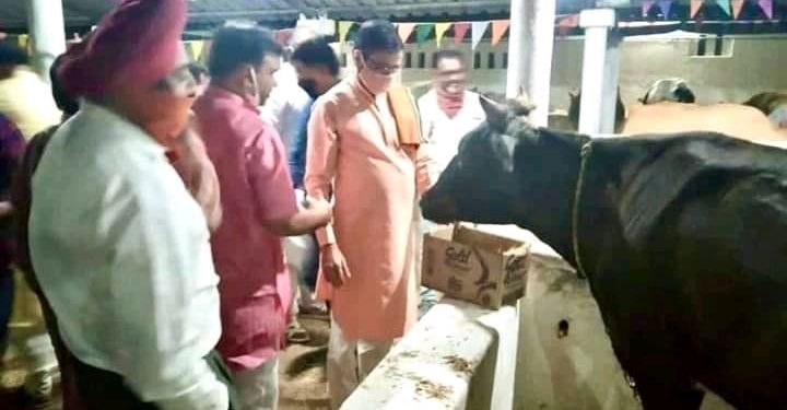 ସା°ସଦଙ୍କ ଗୋପାଳ ଗୋଶାଳା ପରିଦର୍ଶନ