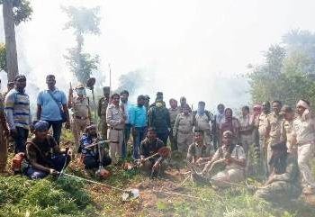 ନୂଆଗଡ ବ୍ଲକ ଅନ୍ତର୍ଗତ ବିମାନପୂର ଗ୍ରାମ ଜଙ୍ଗଲରେ ବେଆଇନ ଭାବେ କରାଯାଇଥିବା ଗଞ୍ଜେଇ ଚାଷ କୁ ପୋଡି ନଷ୍ଟ କରାଗଲା