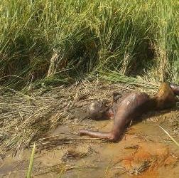 ଧାନ ବିଲ ନିକଟରୁ ଯୁବକଙ୍କ ଗଳିତ ମୃତ ଦେହ ଉଦ୍ଧାର – ହିଞ୍ଜିଳିକାଟୁ