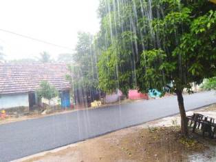ଅଦିନିଆ ବର୍ଷା ଯୋଗୁଁ ଚିନ୍ତାରେ ଚାଷୀ
