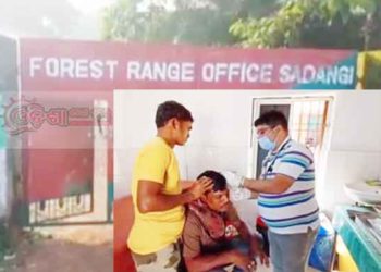 ପଥର ମାଫିଆଙ୍କ ଆକ୍ରମଣରେ ବନ କର୍ମଚାରୀ ଗୁରୁତର – ଢେଙ୍କାନାଳ