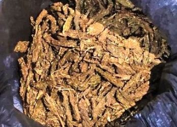 କୋରାଇ ପୁଲିସର ଚଢାଉ…..ରଣପୁର ମାର୍କେଟରୁ ଗଞ୍ଜେଇ ସହ ୮୦ ହଜାର ଟଙ୍କା ଜବତ ; ୨ଗିରଫ