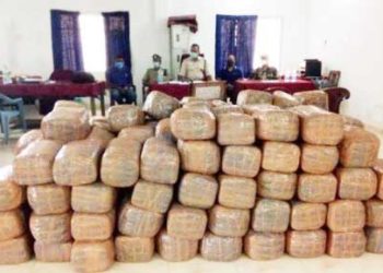 ଓଡିଶା ପୋଲିସ ଚଳିତ ବର୍ଷ ୧୨୯୨ କ୍ୱିଣ୍ଟାଲରୁ ଅଧିକ ଗଞ୍ଜେଇ ଜବତ କରିଛି ; ୨୦୨୦ ରେ ଗତ ୯ ବର୍ଷର ରେକର୍ଡ ଭାଙ୍ଗିଛି ଗଞ୍ଜେଇ କାରବାର ।