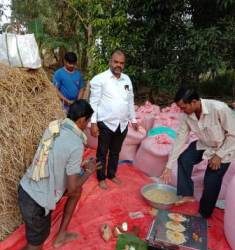 ମର୍ଦ୍ଦକୋଟ ରେ ଧାନମଣ୍ଡି ଶୁଭାରମ୍ଭ