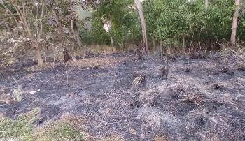 ରେଣ୍ଟା ଗ୍ରାମ୍ୟ ଜଙ୍ଗଲରେ ନିଆଁ ଲଗାଇଲେ ଦୁର୍ବୁତ୍ତ