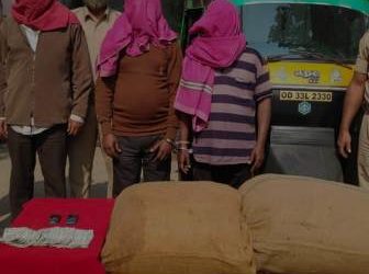 କଟକ ଚାଉଳିଆଗଞ୍ଜ ପୋଲିସ ପକ୍ଷରୁ ପାଞ୍ଚ ବସ୍ତା ଚୋରା ଭାଙ୍ଗ ଜବତ, ତିନି ଗିରଫ