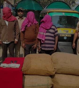 କଟକ ଚାଉଳିଆଗଞ୍ଜ ପୋଲିସ ପକ୍ଷରୁ ପାଞ୍ଚ ବସ୍ତା ଚୋରା ଭାଙ୍ଗ ଜବତ, ତିନି ଗିରଫ