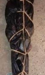 କାଶୀନଗର ବ୍ଲକ ଅନ୍ତର୍ଗତ କେ. ସିତାପୂର ଗ୍ରାମର ଜଣେ ଯୁବକ ନିଜ ଘରେ ରଶି ଲଗାଇ ଆତ୍ମହତ୍ୟା