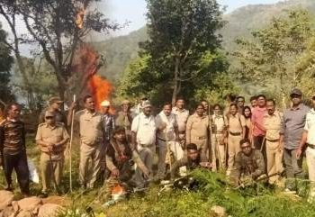 ଗଜପତି ଜିଲ୍ଲା  ପାଇକରାୟ ଗ୍ରାମରେ ପୋଲିସ ଓ ଅବକାରୀ ବିଭାଗର ମିଳିତ ଚଢାଉ ;  ୭୯.୦୭୯ଏକର ଜମିରେ ଚାଷ କରାଯାଇଥିବା ଗଞ୍ଜେଇ ଗଛ ନଷ୍ଟ 