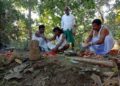 ଦେବଗିରି-ବୁଢିପଦରରେ ମାଉଲି ଚୋରୋ ସଂପନ୍ନ