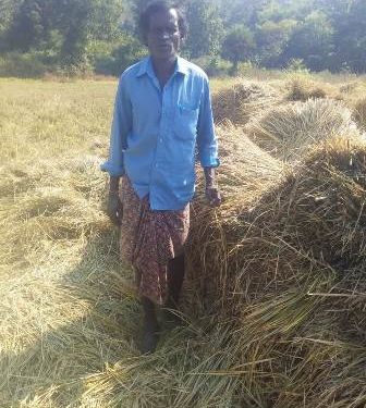 କଳାହାଣ୍ଡି : ନର୍ଲା ବନାଞ୍ଚଳରେ ହାତୀ ଉପଦ୍ରବ ; ଚାଷୀ ମହଳରେ ଛନକା