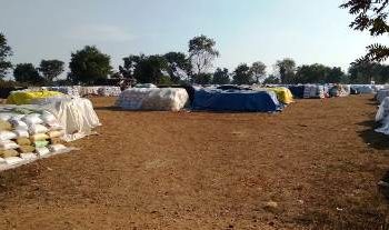 ଫସଲ ବୀମା ପାଇଁ ଛଟପଟ ବୁଡାମାଲ ମଣ୍ତିକୁ ଏତେ ହଜାର ବସ୍ତା ଧାନ ଆସିଲା କେଉଁଠୁ ?