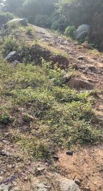 କଡମ୍ବାତାଳ ନାରିଙ୍ଗିଝୋଲା ଦୂରତା ମାତ୍ରପାଞ୍ଚ କିମି ରାସ୍ତାକାମ ପ୍ରତି ସରକାର ଙ୍କ ଦୃଷ୍ଟି କେବେ..?