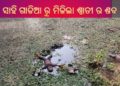 ।। ବଧିପାଟଣା ଗ୍ରାମର ତଅଂଳା ସାହି ଗାଡିଆ ରୁ ମିଳିଲା ଶ୍ୱାତୀ ର ଶବ ।।