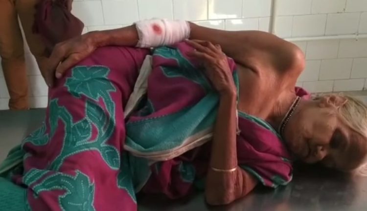 ମାହାଙ୍ଗା : ପାଗଳକୁକୁର କାମୁଡାରେ 10 ରୁ ଉର୍ଦ୍ଧ ଲୋକ ଆହତ ହୋଇଛନ୍ତି