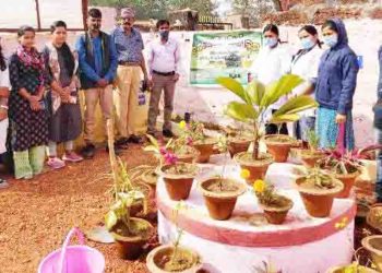 ସବୁଜ ଭାରତ ତରଫରୁ ବୃକ୍ଷ ରୋପଣ – ଭୁବନେଶ୍ୱର