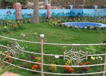ଗୋଷ୍ଠୀ ଉନ୍ନୟନ ଅଧିକାରୀଙ୍କ ପ୍ରଚେଷ୍ଟାରେ ବଦଳିଛି ପଞ୍ଚାୟତ ସମିତି କାର୍ଯ୍ୟାଳୟର ଦୃଶ୍ୟ ; ସୃଷ୍ଟି କରୁଛି ଉଦ୍ୟାନର ଭ୍ରମ