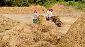 ରାଜ୍ୟରେ ଖରିଫ ଧାନ ସଂଗ୍ରହ କାର୍ଯ୍ୟକୁ ଅଧିକ ତ୍ୱରାନ୍ୱିତ କରିବା ପାଇଁ ଯୋଗାଣ ମନ୍ତ୍ରୀଙ୍କ ନର୍ଦ୍ଦେଶ  ;  ଗତବର୍ଷ ତୁଳନାରେ ୨୨ ପ୍ରତିଶତ ଅଧିକ ଧାନ ସଂଗ୍ରହ