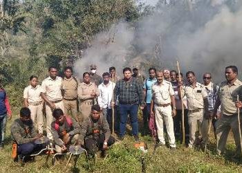 କଳାପଙ୍କା ଗ୍ରାମ ନିକଟସ୍ଥ ଜଙ୍ଗଲରେ ୫ କୋଟି ଟଙ୍କାରୁ  ଉର୍ଦ୍ଧ ଗଞ୍ଜେଇ ଗଛ କୁ ପୋଡି ନଷ୍ଟ 