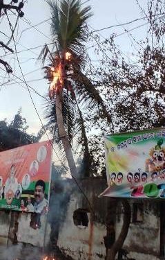ନଡ଼ିଆ ଗଛ ଉପରେ ଓ ପାଳଗଦାରେ ନିଆଁ