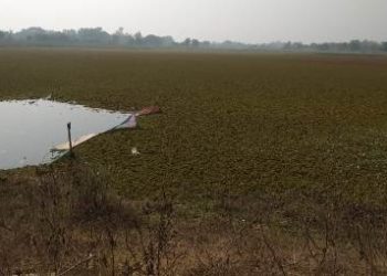 ସୁନାମୁଖୀ ସାଗରର ସଫେଇ ଓ ପଙ୍କ ଉଦ୍ଧାର ଦାବି