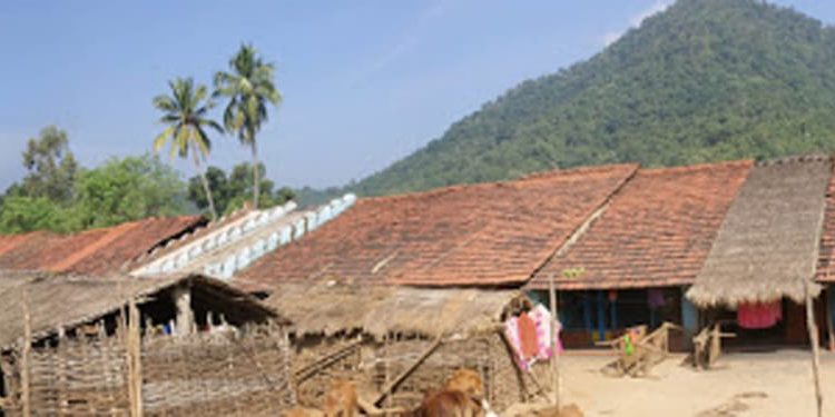 ଗଜପତିଜିଲ୍ଲାର ଆର.ଉଦୟଗିରି ବ୍ଲକରଦୁର୍ଗମ ଅଞ୍ଚଳରେ ଗର୍ଭବତୀ ମହିଳାଙ୍କୁ ମିଳୁନି ଖାଦ୍ୟ : ବଢ଼ି ଚାଲିଛି ନବଜାତ ଶିଶୁର ମୃତ୍ୟୁ ହାର