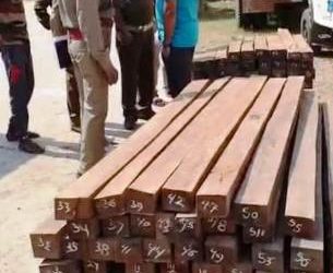 ଅଡବା ପୋଲିସଙ୍କ ଦ୍ବାରା ପିକଅପ ଭ୍ୟାନ ସହ ଶାଳ କାଠ ଜବତ , ୨ଙ୍କୁ ଗିରଫ କରି ମୋହନା ବନ ବିଭାଗ କୁ ହସ୍ତାନ୍ତର