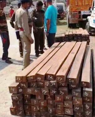 ଅଡବା ପୋଲିସଙ୍କ ଦ୍ବାରା ପିକଅପ ଭ୍ୟାନ ସହ ଶାଳ କାଠ ଜବତ , ୨ଙ୍କୁ ଗିରଫ କରି ମୋହନା ବନ ବିଭାଗ କୁ ହସ୍ତାନ୍ତର