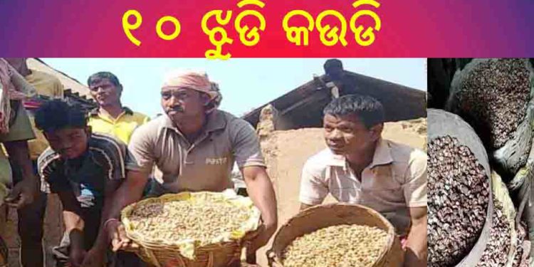 ମାଟି ଖୋଳୁ ଖୋଳୁ ମିଳିଲା ;  ପୁରାତନ ଯୁଗର ସଞ୍ଚିତ ଧନ
