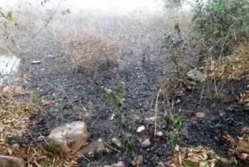 ଶିମିଳିପାଳ ଜଙ୍ଗଲରେ ନିଆଁ ଜଳୁଥିବା ବେଳେ ଆଜି ଅପରାହ୍ଣରେ କୁଆପଥର ସହ ବର୍ଷା ହୋଇଛି । ବର୍ଷା ଆଣିଲା ଆଶ୍ଵସ୍ତି