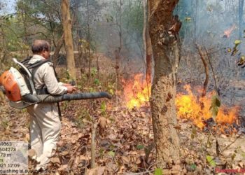 Task Force constituted for Forest Fire Management in Odisha