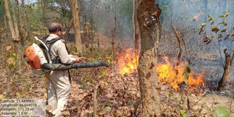 Task Force constituted for Forest Fire Management in Odisha