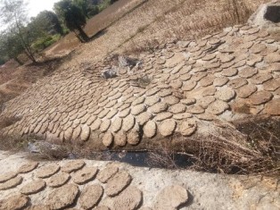 ଦହନ ପାଇଁ ଆଉ ବ୍ୟବହାର ହେଉନି ଗୋବରରୁ ପ୍ରସ୍ତୁତି ଘଷି