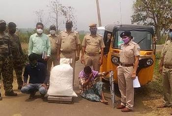 ରାମଗିରି ରୁ ଗଞ୍ଜେଇ ଚାଲାଣ ବେଳେ ଗୁରାଣ୍ଡୀ ପୋଲିସ ଧରା ପଡିଲେ ଅଟୋ ରିକ୍ସାରୁ ୩୦ କିଲୋରୁ ଉର୍ଦ୍ଧ ଗଞ୍ଜେଇ ସହ ଅଟୋ ରିକ୍ସା ଜବତ ; ୨ ଗିରଫ