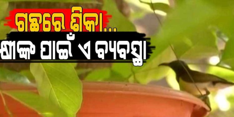 ଗଛରେ ଝୁଲିଲା ପାଣି ମାଠିଆ; ଖରାଦିନେ ଆଉ ଶୋଷିଲା ରହିବେନି ପକ୍ଷୀ