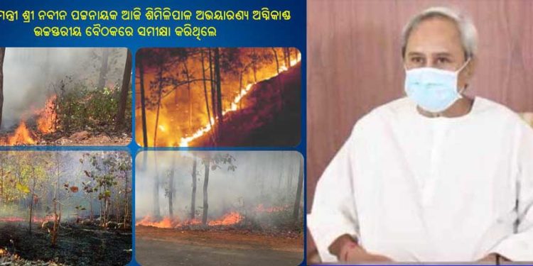 ଶିମିଳିପାଳ ଅଭୟାରଣ୍ୟରେ ଅଗ୍ନି ନିୟନ୍ତ୍ରଣାଧୀନ ଅଛି : ସତର୍କ ରହିବା ସହ ପ୍ରତିଷେଧ ମୂଳକ ପଦକ୍ଷେପ ନେବାପାଇଁ – ମୁଖ୍ୟମନ୍ତ୍ରୀଙ୍କ ନିର୍ଦେଶ