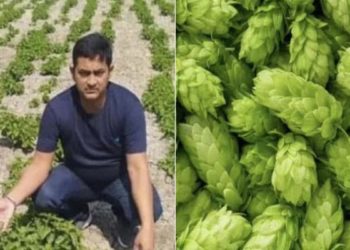 ବଜାରକୁ ଗଲେ ସବୁଠୁ ଶସ୍ତା ପରିବା କ’ଣ ଅଛି ତାକୁ ପାଇବାକୁ ଆଖି ଖୋଜି ବୁଲୁଥାଏ