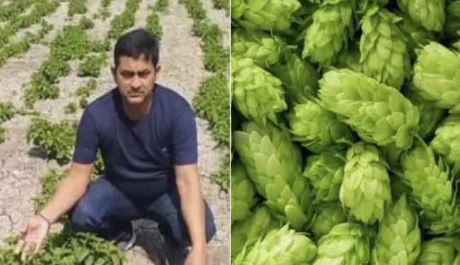 ବଜାରକୁ ଗଲେ ସବୁଠୁ ଶସ୍ତା ପରିବା କ’ଣ ଅଛି ତାକୁ ପାଇବାକୁ ଆଖି ଖୋଜି ବୁଲୁଥାଏ