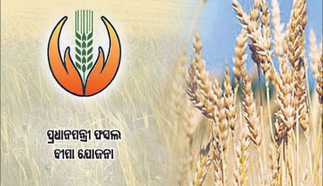 ରାଜ୍ୟରେ ବିଭିନ୍ନ ତ୍ରୁଟି ଓ ବୀବାଦୀୟ କାରଣରୁ ୨୦୧୯ ଖରିଫ ଓ ୨୦୧୯-୨୦ ରବି ଋତୁରେ ୧,୮୨,୨୭୦ ଚାଷୀ ପ୍ରଧାନମନ୍ତ୍ରୀ ଫସଲ ବୀମା ଯୋଜନାରେ ବୀମାରାଶି ପାଇବାରୁ ବଞ୍ଚିତ