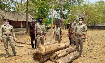 କଷି ଲଗ୍ ଜବତ କଲା ବନ ବିଭାଗ