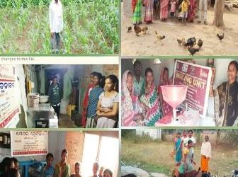 ଗୁମ୍ମାବ୍ଲକର ଆଦିବାସୀ ଅଧ୍ୟୁଷିତ ଅଞ୍ଚଳର ଲାଞ୍ଜିଆ ସଉରା ଜୀବିକା ବିକାଶ ସମ୍ପର୍କିତ କାର୍ଯ୍ୟରେ “ଜନକଲ୍ୟାଣ ପ୍ରତିଷ୍ଠାନ”ର ଭୂମିକା ଓ କାର୍ଯ୍ୟ ପ୍ରଶଂସନୀୟ
