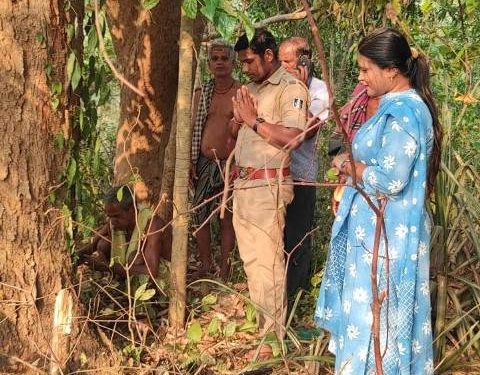 ନୟାଗଡ : ଲିଙ୍ଗରାଜ ମହାପ୍ରଭୁ ଙ୍କ ରୁକୁଣା ରଥ ନିର୍ମାଣ ପାଇଁ ଗଲା କାଠ
