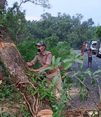 ରାସ୍ତା ଉପରେ ଗଛ ପଡ଼ିବାରୁ ଯାତାୟାତ ଠପ୍ – ଓଡ଼ଗାଁ