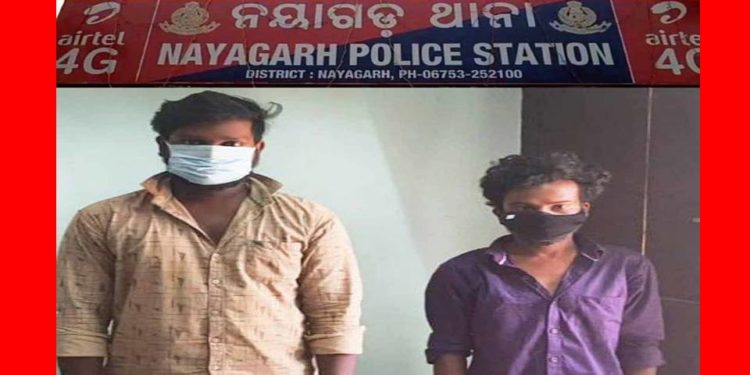ନୟାଗଡ ଟାଉନ ଥାନା ପୋଲିସକୁ ଆଉ ଏକ ସଫଳତା : ବ୍ରାଉନ ସୁଗାର ବେପାର କରୁଥିବା ୨ ଜଣ  ବେପାରୀ ଗିରଫ